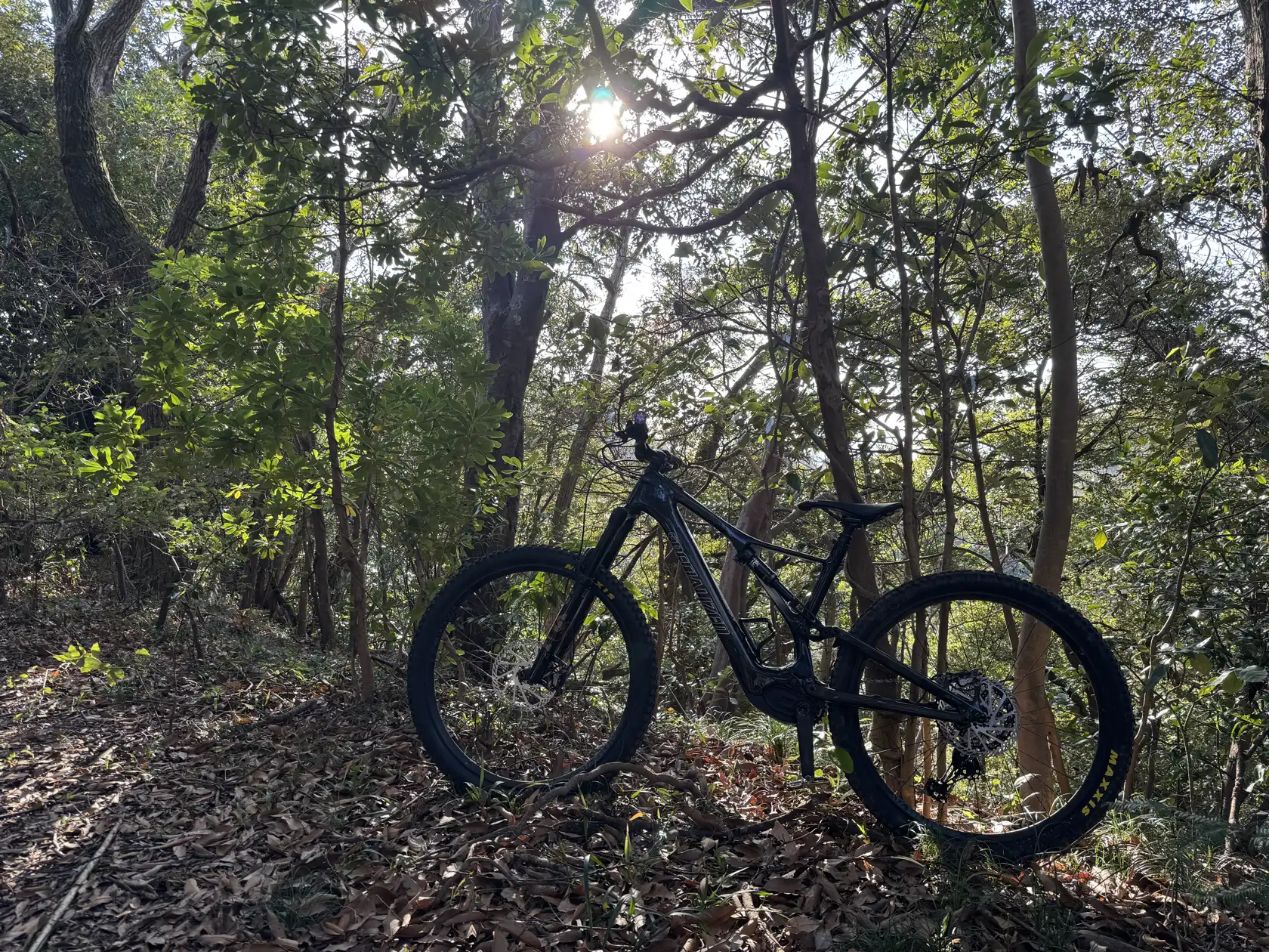 Cycling the coast