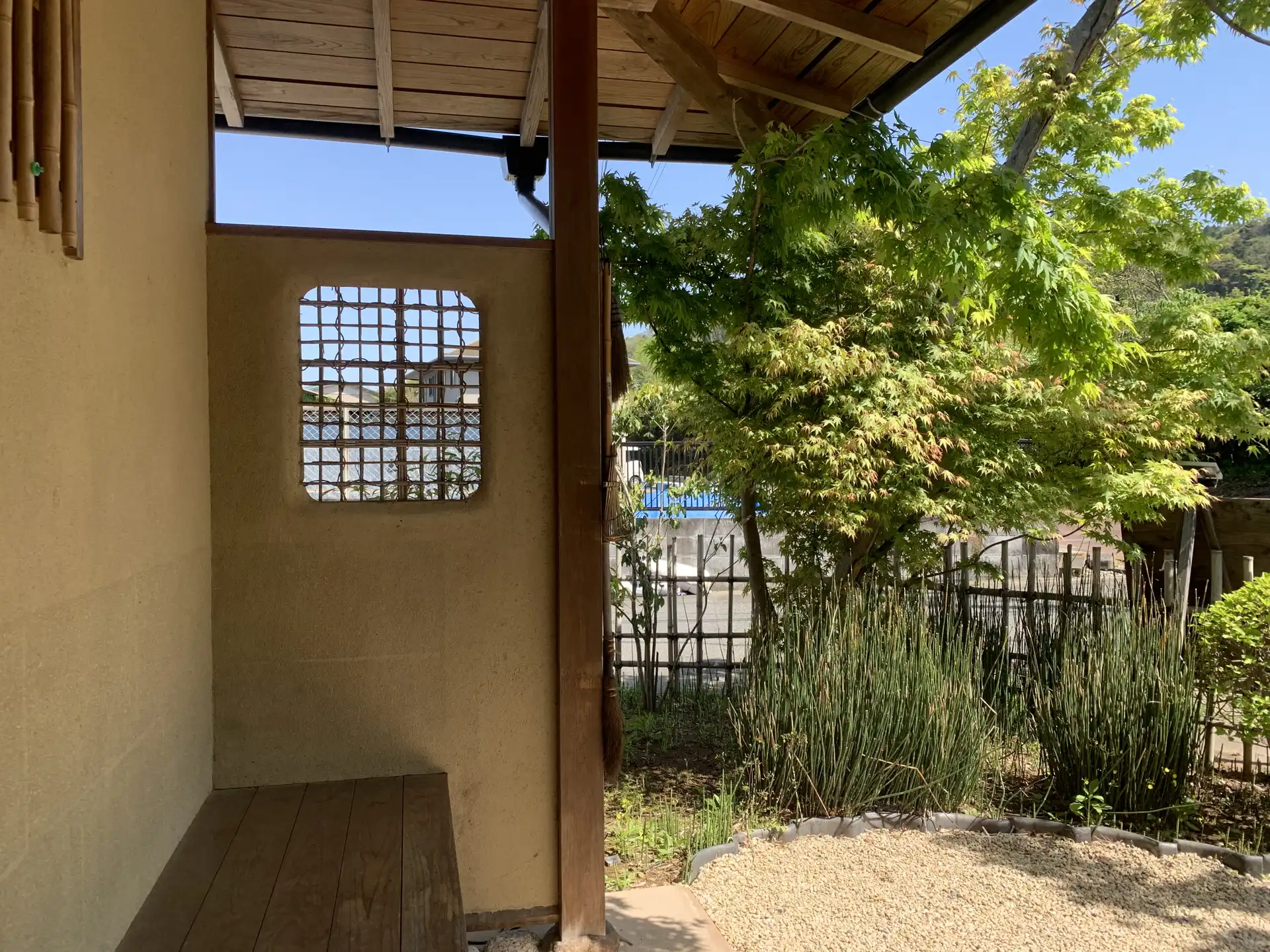 Garden view
